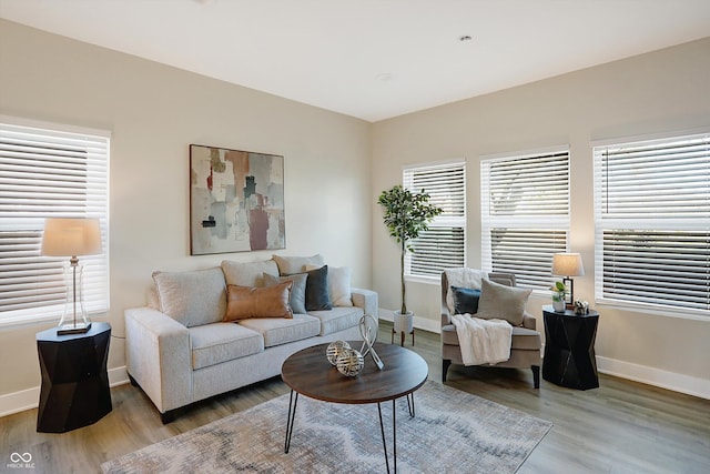 1429 Deloss St, Indianapolis, IN 46201 - living room featuring wood finished floors and baseboards