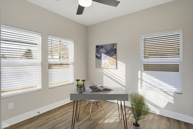 1429 Deloss St, Indianapolis, IN 46201 - office featuring baseboards, ceiling fan, plenty of natural light, and wood finished floors