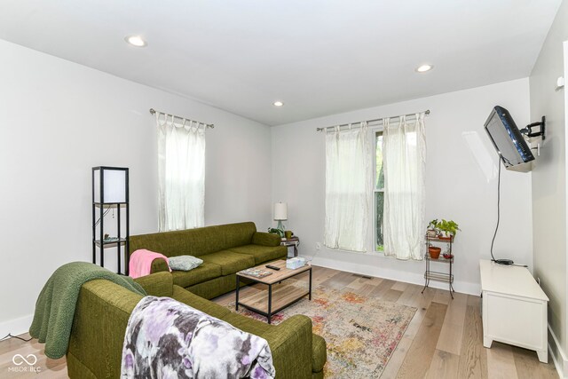 1043 N Beville Ave, Indianapolis, IN 46201 - living room with plenty of natural light, light wood-style flooring, recessed lighting, and baseboards