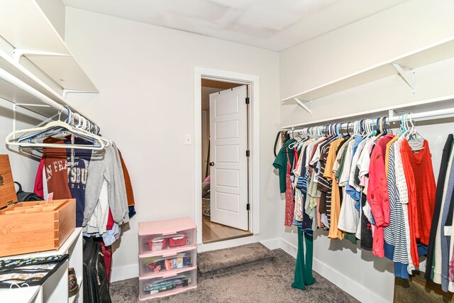 1043 N Beville Ave, Indianapolis, IN 46201 - walk in closet featuring carpet flooring