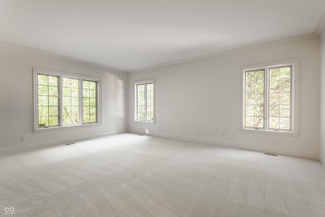7406 N Washington Blvd, Indianapolis, IN 46240 - carpeted empty room with ornamental molding and baseboards