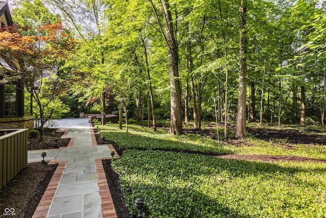 7406 N Washington Blvd, Indianapolis, IN 46240 - view of yard