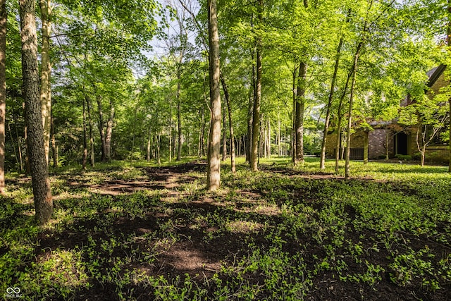 7406 N Washington Blvd, Indianapolis, IN 46240 - view of local wilderness