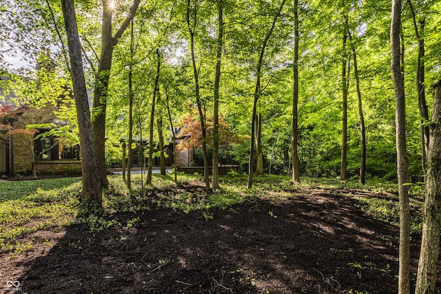 7406 N Washington Blvd, Indianapolis, IN 46240 - view of undeveloped land