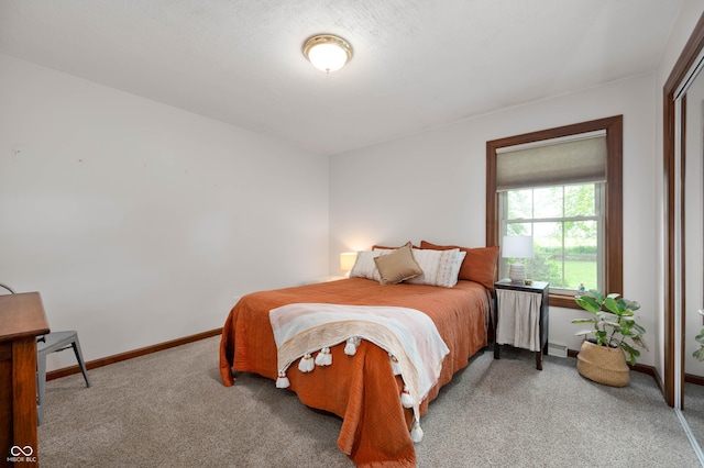 17216 W Hunnicut Rd, Cambridge City, IN 47327 - bedroom with carpet flooring