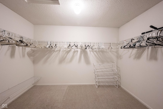 10266 Hatherley Way, Fishers, IN 46037 - photo 44