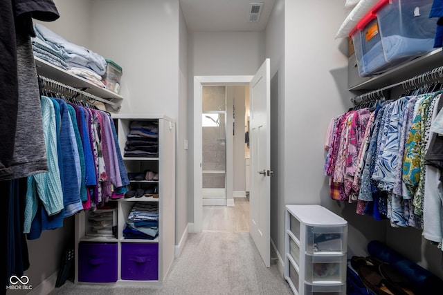 3622 S Setting Sun Ln, New Palestine, IN 46163 - walk in closet with carpet