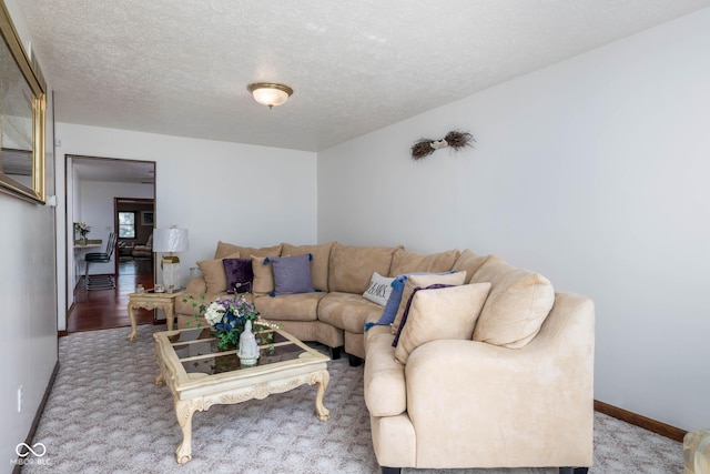 16226 Montrose Ln, Westfield, IN 46074 - living area with baseboards and a textured ceiling