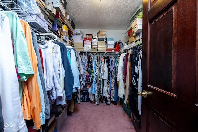 16226 Montrose Ln, Westfield, IN 46074 - walk in closet featuring carpet