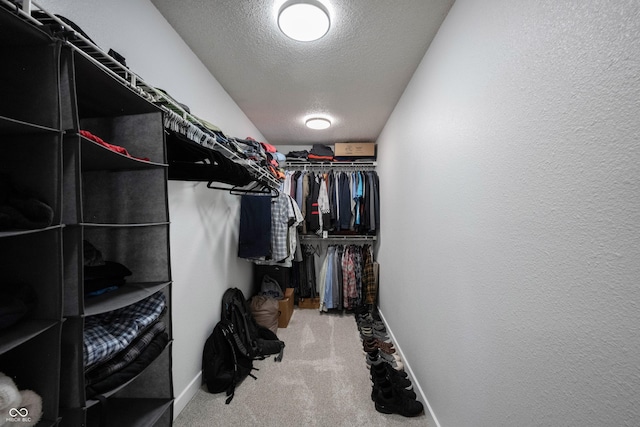 14399 Forsythia Ln, Fishers, IN 46038 - photo 36