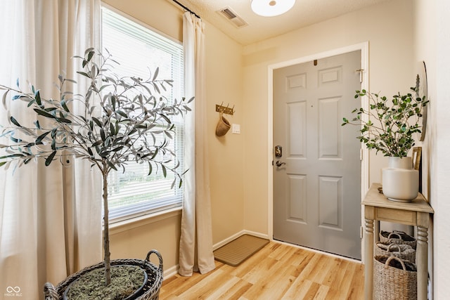 14291 Holly Berry Cir, Fishers, IN 46038 - foyer featuring plenty of natural light, light wood finished floors, and baseboards