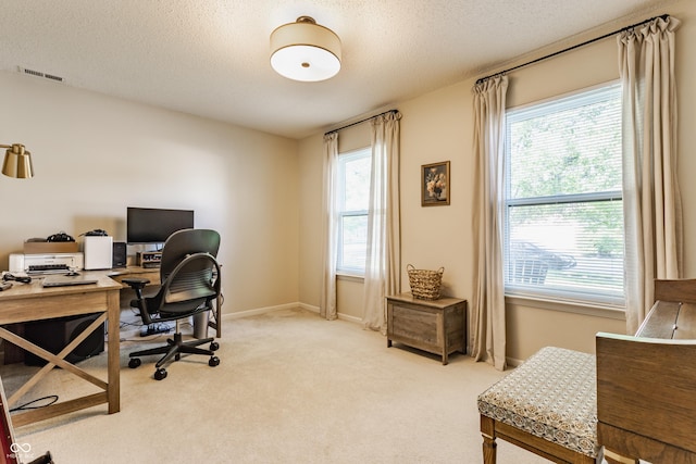 14291 Holly Berry Cir, Fishers, IN 46038 - home office featuring healthy amount of natural light, light carpet, a textured ceiling, and baseboards