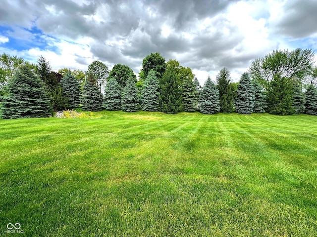 800 Eastfield Dr, Crawfordsville, IN 47933 - view of green lawn