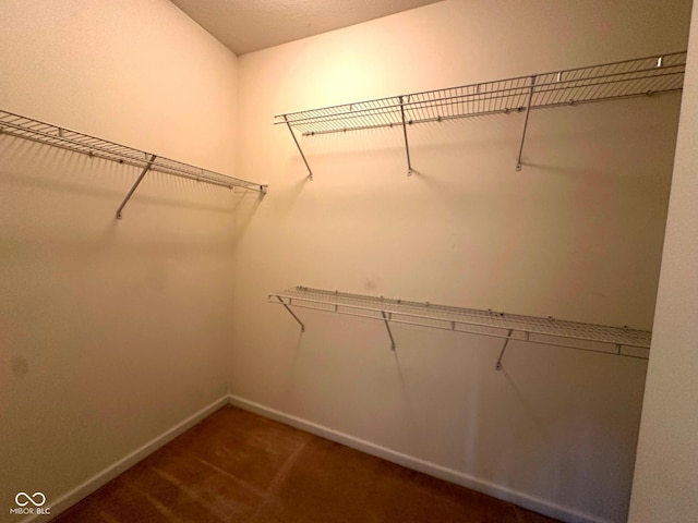 800 Eastfield Dr, Crawfordsville, IN 47933 - spacious closet featuring carpet flooring