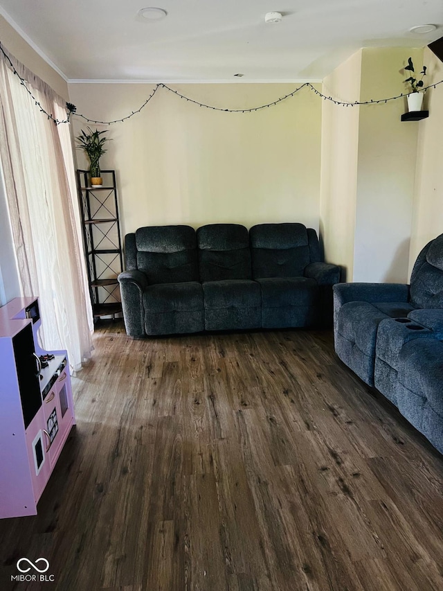 4850 E University Ave, Indianapolis, IN 46201 - living area with dark wood finished floors and ornamental molding