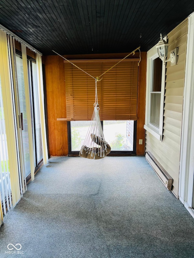 4850 E University Ave, Indianapolis, IN 46201 - unfurnished sunroom featuring a baseboard radiator and carpet floors