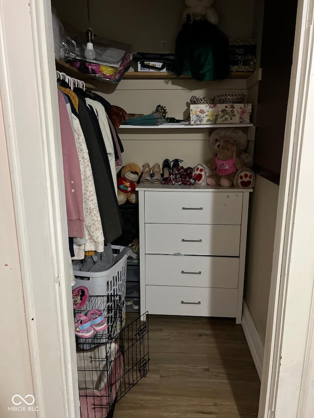 4850 E University Ave, Indianapolis, IN 46201 - walk in closet with wood finished floors