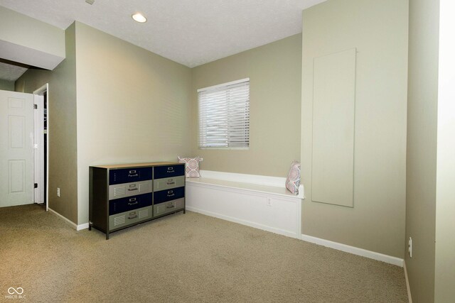 11727 Wedgeport Ln, Fishers, IN 46037 - unfurnished bedroom featuring light colored carpet, baseboards, and a textured ceiling