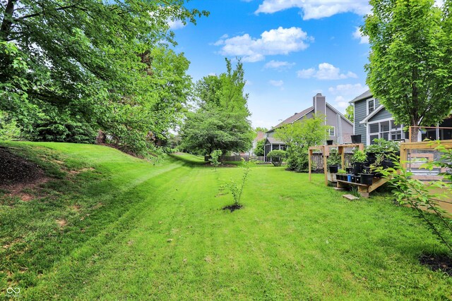 view of green lawn