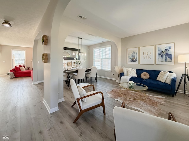 8644 N Deer Crossing Blvd, Mccordsville, IN 46055 - living area featuring arched walkways, baseboards, plenty of natural light, and wood finished floors