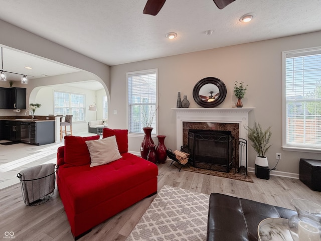 8644 N Deer Crossing Blvd, Mccordsville, IN 46055 - living room with ceiling fan, light wood finished floors, healthy amount of natural light, and a premium fireplace