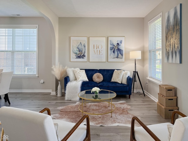 8644 N Deer Crossing Blvd, Mccordsville, IN 46055 - living room featuring wood finished floors, baseboards, and arched walkways