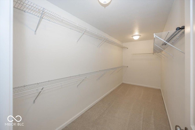 spacious closet with light carpet