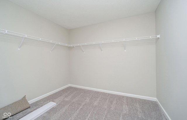 3256 Fawn Cir, Brownsburg, IN 46112 - walk in closet with carpet flooring