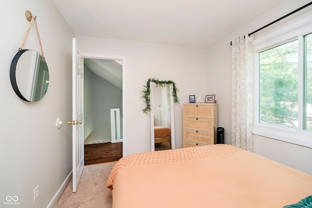 1940 Stringtown Pike, Cicero, IN 46034 - bedroom with light colored carpet, multiple windows, and baseboards