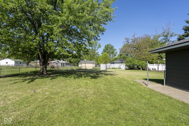 370 N Bazil Ave, Indianapolis, IN 46219 - view of yard