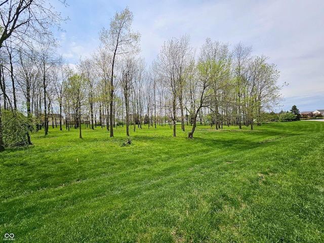 view of grassy yard