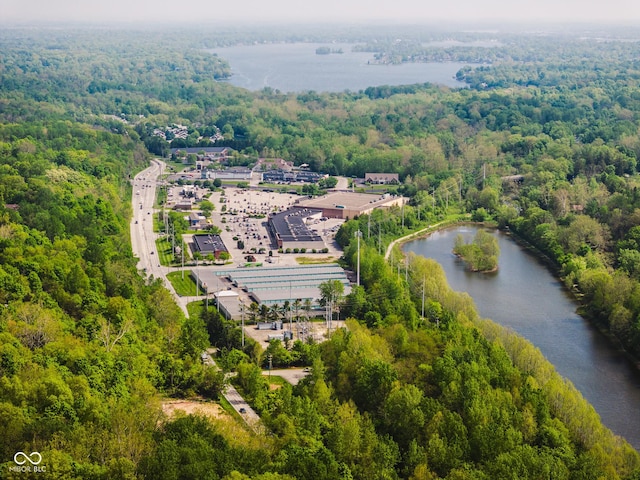 9602 Fall Creek Rd, Indianapolis, IN 46256 - bird's eye view of a forest and a nearby body of water