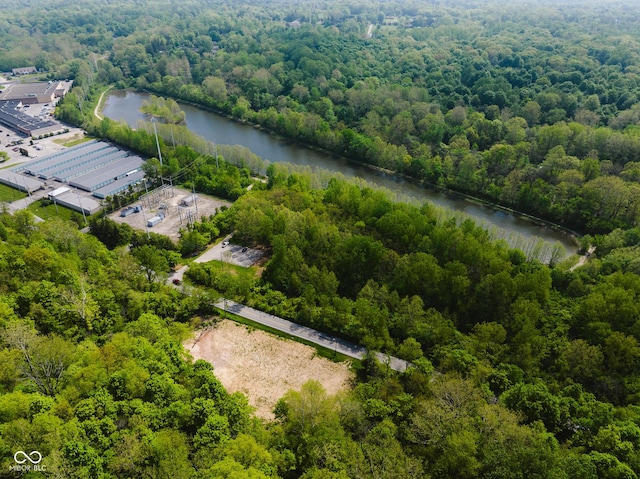 9602 Fall Creek Rd, Indianapolis, IN 46256 - drone / aerial view of a forest and a nearby body of water