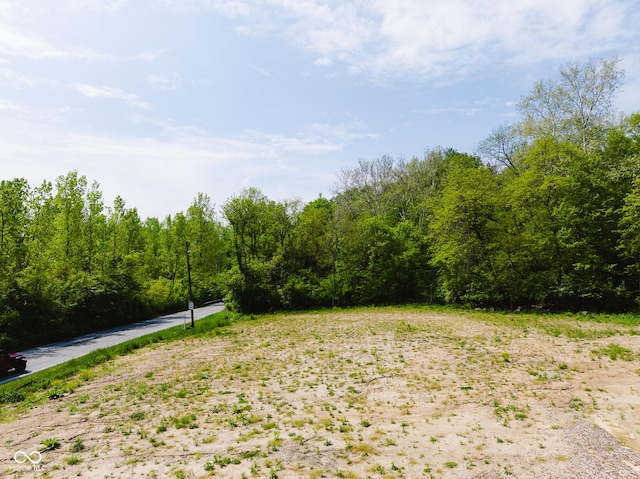 9602 Fall Creek Rd, Indianapolis, IN 46256 - view of yard with a forest view