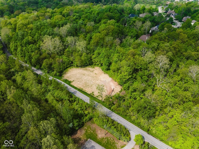 9602 Fall Creek Rd, Indianapolis, IN 46256 - view of property location featuring a forest