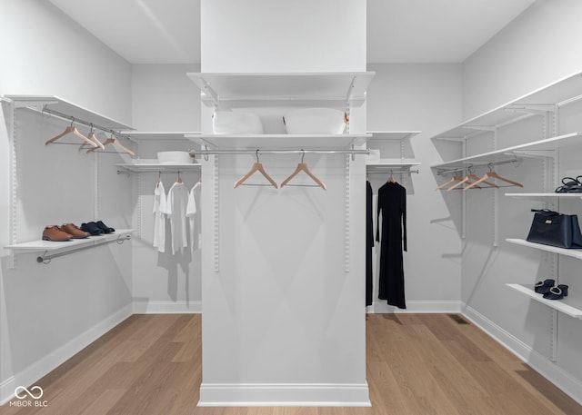 9602 Fall Creek Rd, Indianapolis, IN 46256 - walk in closet with light wood-style floors