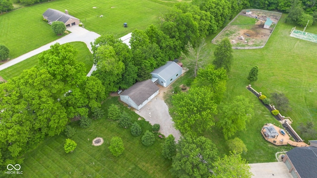 bird's eye view