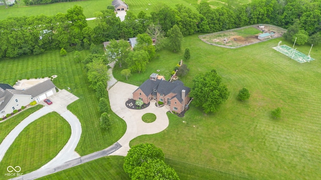 bird's eye view