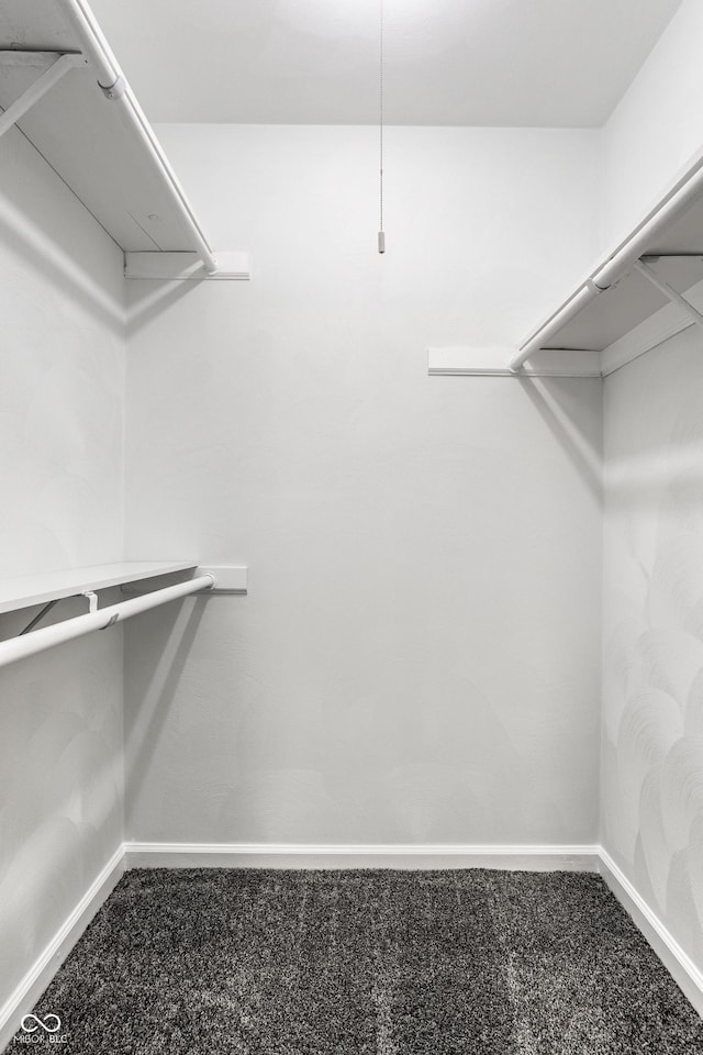 8510 E Mcgregor Rd, Indianapolis, IN 46259 - walk in closet featuring carpet floors