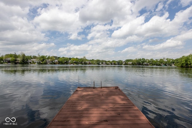 3430 Bay Road S Drive, Indianapolis, IN 46240 - photo 2