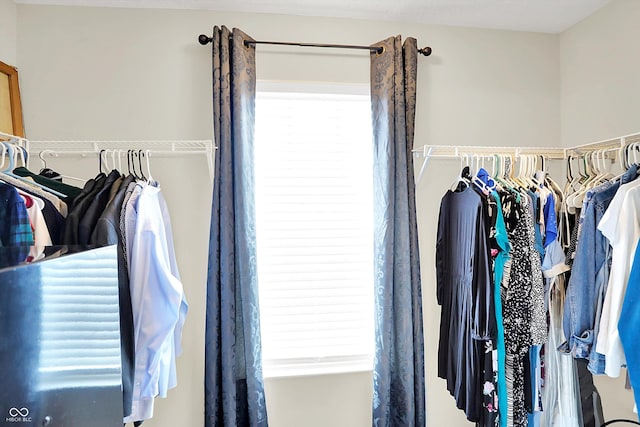 view of walk in closet