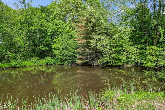 8513 S 575 W, Morgantown, IN 46160 - water view featuring a forest