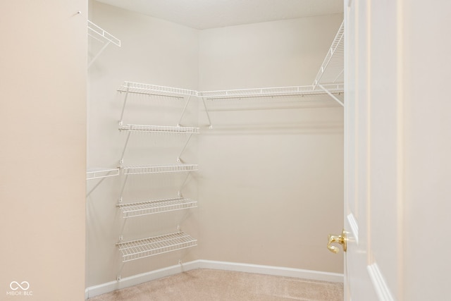 11438 Winding Wood Dr, Indianapolis, IN 46235 - spacious closet featuring carpet