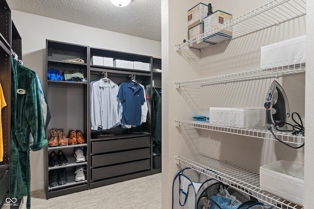 8238 Crackling Ln, Indianapolis, IN 46259 - view of spacious closet