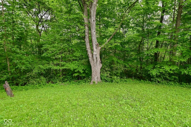 6567 Kings Ct, Avon, IN 46123 - view of yard with a forest view