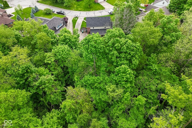 6567 Kings Ct, Avon, IN 46123 - drone / aerial view