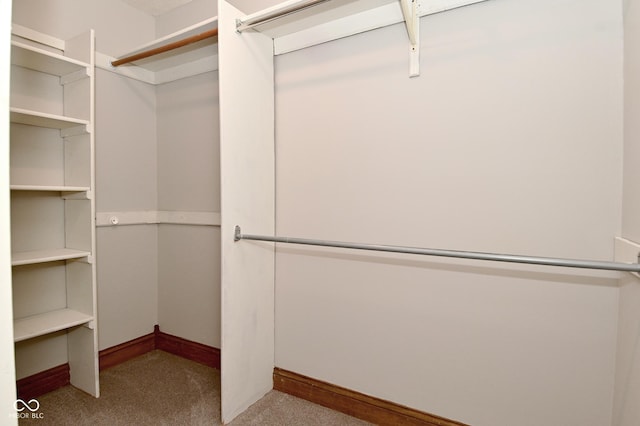 6567 Kings Ct, Avon, IN 46123 - spacious closet with carpet floors