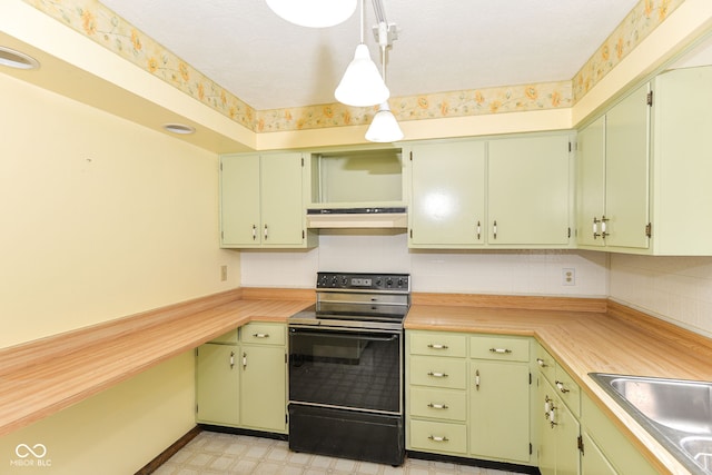 3325 Broadview Ct, Indianapolis, IN 46227 - kitchen featuring black electric range, under cabinet range hood, a sink, light countertops, and open shelves