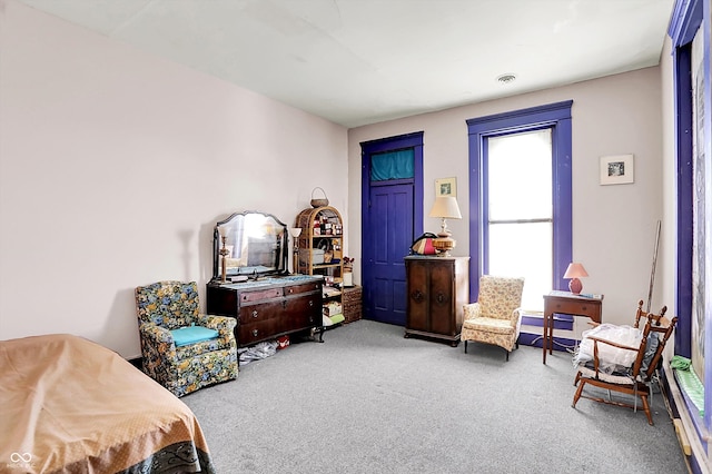2490 S County Road 60 E, Greensburg, IN 47240 - living area featuring carpet flooring