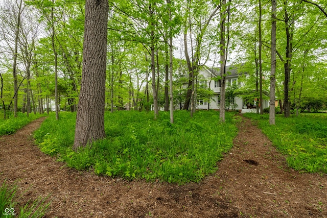 4130 N Meridian St, Indianapolis, IN 46208 - view of yard